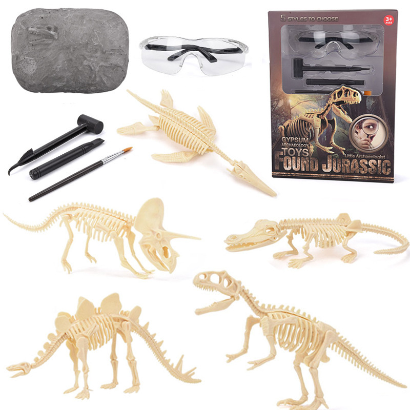 Model Kit Girl - Dinosaurier-Fossil-Ausgrabungsset STEM Ausgrabbare Dinosaurierskelett-Modelle Lehrreiche Wissenschaftsgeschenke