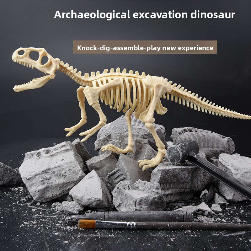 Dinosaurier-Fossil-Ausgrabungs – Model Kit Girl Bewertung und Preis
