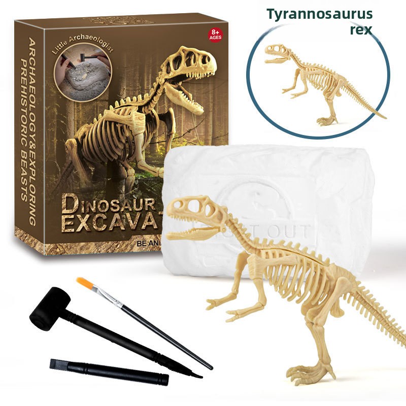 Dinosaurier-Fossil-Ausgrabungs – Model Kit Girl Bewertung und Preis